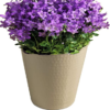 Garden Pot Planter