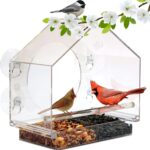 Bird feeders for Outdoor