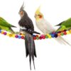 Ladder Toys for Birds