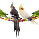 Ladder Toys for Birds